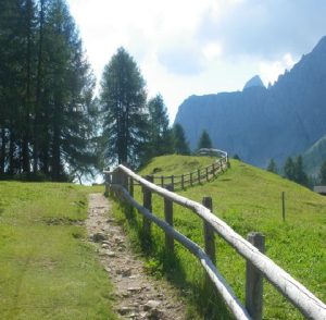 Operation: Pusteria FWA Station
